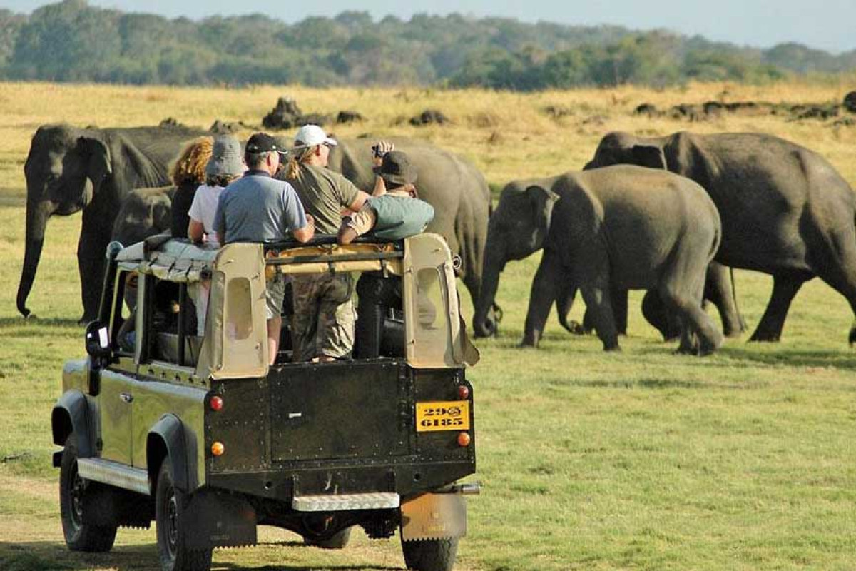 7-Day Southern Coast & Safari